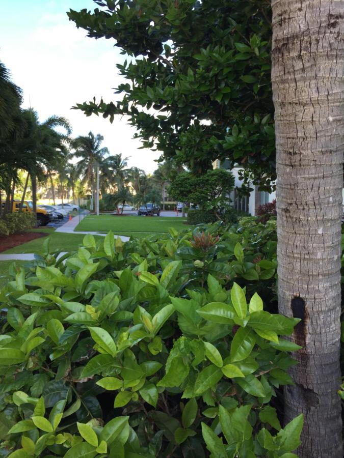 Apartament Disfruta Sunny Isles Ocean 1206 Str-02816 Miami Beach Zewnętrze zdjęcie